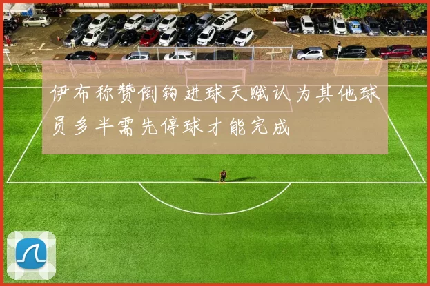 伊布称赞倒钩进球天赋认为其他球员多半需先停球才能完成
